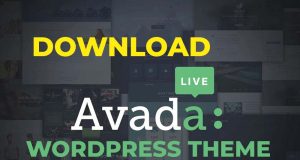 Avada Nulled MNT – Website Builder For WordPress & WooCommerce Avada Nulled MNT - Website Builder For WordPress & WooCommerce