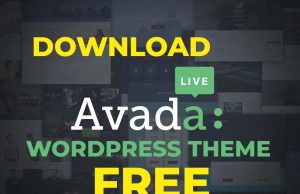 Avada Nulled MNT – Website Builder For WordPress & WooCommerce Avada Nulled MNT - Website Builder For WordPress & WooCommerce