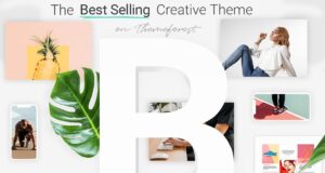 Bridge 29.6 – Creative Multipurpose WordPress Theme Free Download