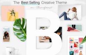 Bridge 29.6 – Creative Multipurpose WordPress Theme Free Download