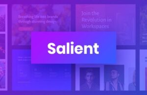 Salient 15.1.1 – Creative Multipurpose & WooCommerce Theme Free Download Salient 15.1.1 – Creative Multipurpose & WooCommerce Theme Free Download