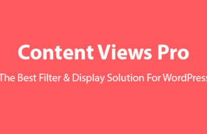 Content Views Pro 5.11.1 – WordPress Filter & Grid Plugin Free Download