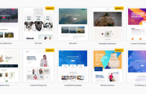 Astra Premium Sites 3.3.0 Free Download