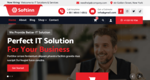 Softinn WordPress Theme Free Download
