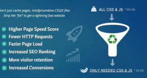 Asset CleanUp Pro 1.2.4.5 – Performance WordPress Plugin Free Download