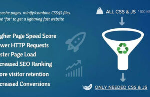 Asset CleanUp Pro 1.2.4.5 – Performance WordPress Plugin Free Download