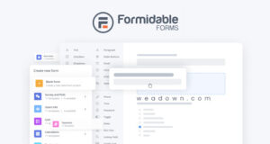 Formidable Forms Pro 6.5.2 – WordPress Forms Plugin and Form Builder Free Download