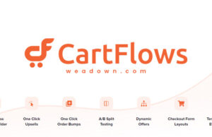 CartFlow Pro – Sales Funnel Builder for WordPress & WooCommerce Free Download