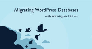 WP Migrate DB Pro 2.6.10– Migrating WordPress Databases Free Download