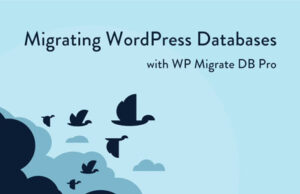 WP Migrate DB Pro 2.6.10– Migrating WordPress Databases Free Download