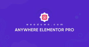 AnyWhere Elementor Pro 2.26.2 Plugin Free Download