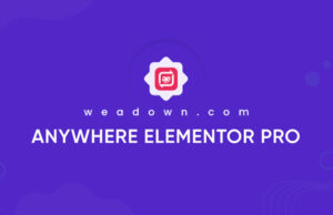 AnyWhere Elementor Pro 2.26.2 Plugin Free Download