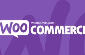 WooCommerce Product Vendors 2.2.4 Plugin Free Download