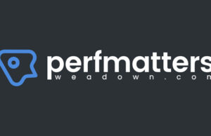 Perfmatters 2.2.1 – WordPress Performance Plugin Free Download