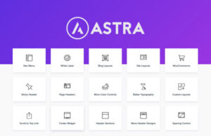 Astra Pro Addon 4.6.3 – Wordpess Theme For Any Website Free Download