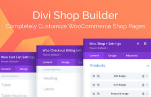 Divi Shop Builder For WooCommerce 2.0.4 Free Download