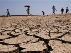 Drought Stress. Implications for Baluchistan’s food production Drought Stress. Implications for Baluchistan’s food production