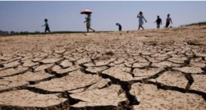 Drought Stress. Implications for Baluchistan’s food production Drought Stress. Implications for Baluchistan’s food production