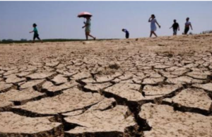 Drought Stress. Implications for Baluchistan’s food production Drought Stress. Implications for Baluchistan’s food production