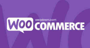 Woocommerce Sale Flash Pro 1.3.2 Free Download Woocommerce-Sale-Flash-Pro-1.3.0