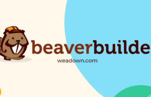 Beaver Builder Pro 2.8.0.2 – WordPress Page Builder Plugin Free Download beaver-builder-pro-2-7-0-1-wordpress-page-builder-plugin (1)
