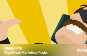 Hustle Pro 7.8.4 – WordPress Marketing Plugin Free Download hustle-pro-3-11-1-wordpress-marketing-plugin