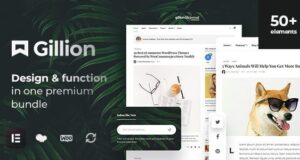 Gillion 4.9 – Multi-Concept Blog/Magazine & Shop WordPress AMP Theme Free Download gillion-4-4-–-multi-concept-blogmagazine-shop-wordpress-amp-theme