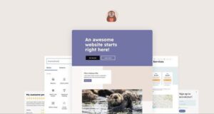 Otter Blocks Pro 2.6.11– WordPress Block Editor Plugin Free Download otter-blocks-pro-2-3-0-nulled-page-builder-blocks-extensions-for-gutenberg