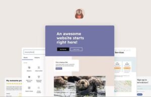 Otter Blocks Pro 2.6.11– WordPress Block Editor Plugin Free Download otter-blocks-pro-2-3-0-nulled-page-builder-blocks-extensions-for-gutenberg