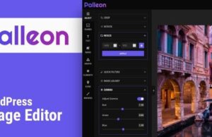 Palleon 3.8.1 – WordPress Image Editor Free Download palleon-2-8-9-wordpress-image-editor